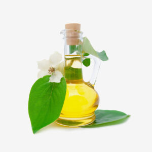 Etiam id elit id elit