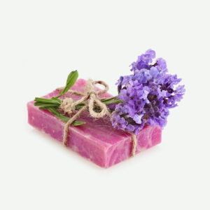 praesent luptatum zzril