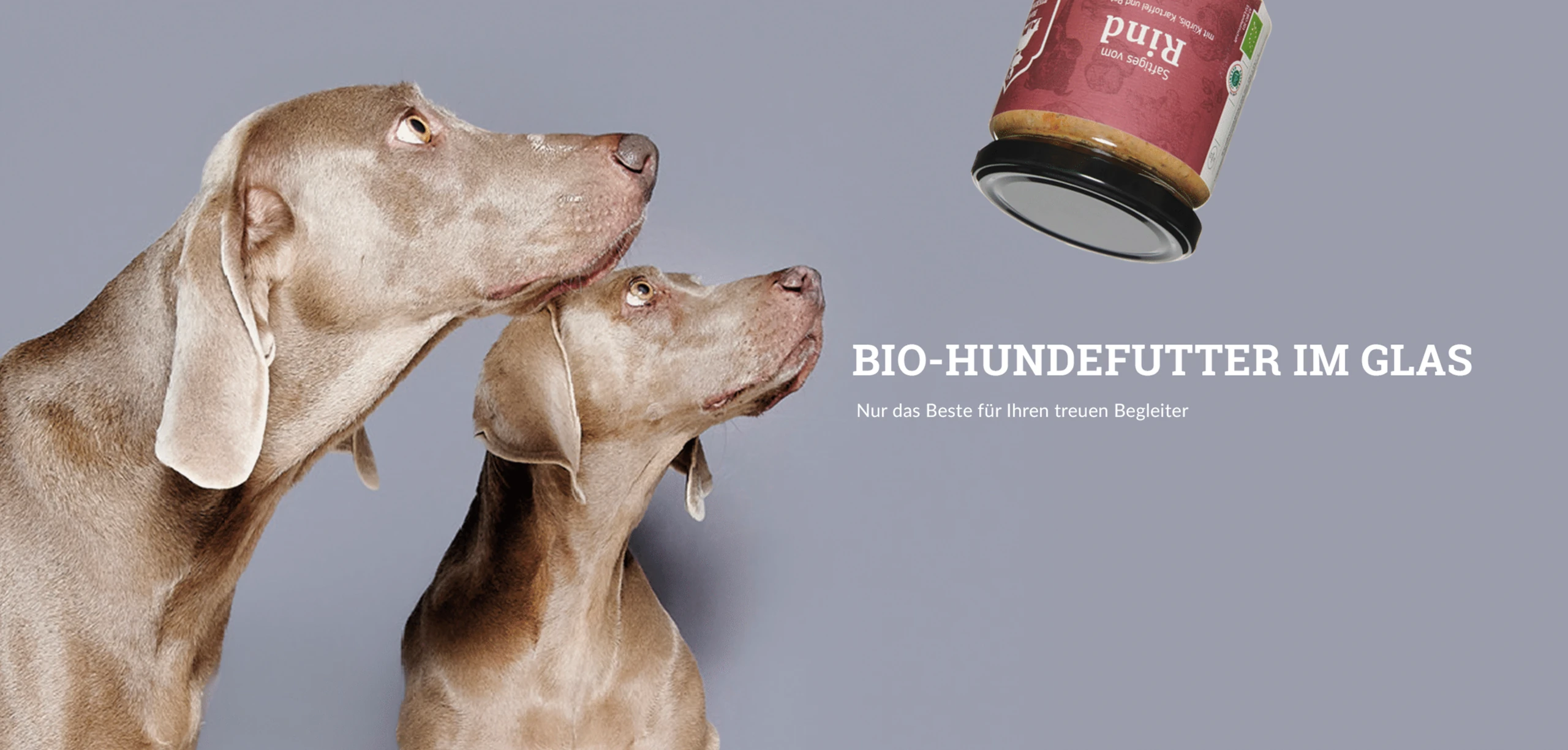 Hunde mit Blick auf TIERfutter